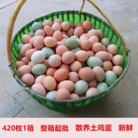 全国批发整箱420枚/箱正宗农村散养鲜艳土鸡蛋绿壳土鸡蛋